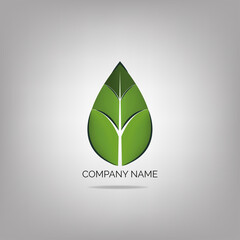 Vector of logo design templates and emblems with leaves and lines.
