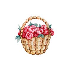 Fototapeta na wymiar Spring flowers roses and peonies in a basket. Hand drawn watercolor illustration on a white background. Design Valentine's Day products, wallpapers, covers, packaging, wrappers, fabrics.