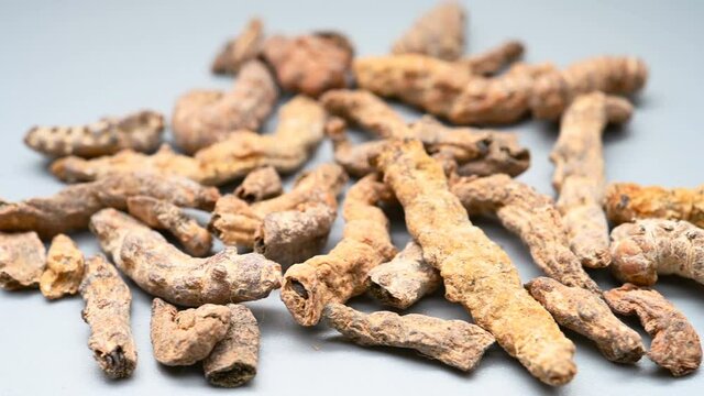 side angle pan view Chinese medicine Jiangcan or Bombyx Batryticatus or Stiff Silkworm