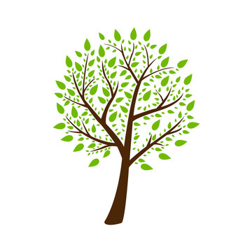 image of a tree , vector illustration