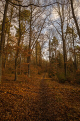 Obraz premium Landschaft