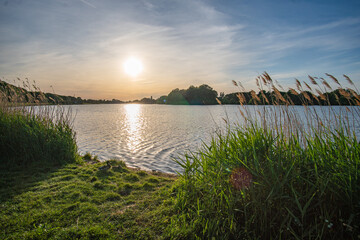 grass waving in the wind with beautiful werdersee, a river in bremen, in the background at sunset