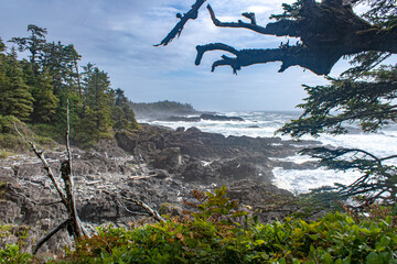 A view of the ocean on a hike around Ucluelet, BC, Canada
