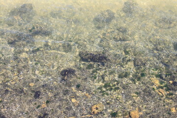 Rocas marinas en un día soleado sobre la playa