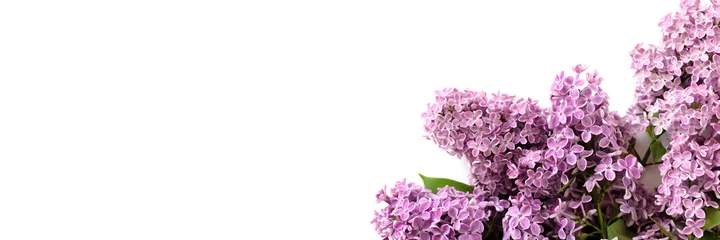 Schilderijen op glas Header with bouquet of lilac flowers. Romantic spring concept with copy space. © rorygezfresh