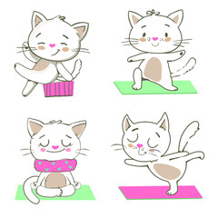 cute kitten doing exercises