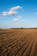 plowed field spring