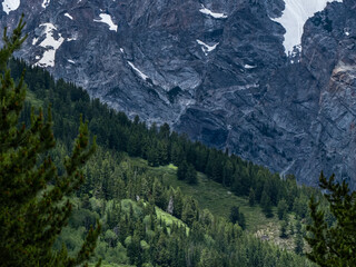 Fototapeta na wymiar Grand Teton National Park Texture