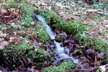 Kleiner Bachlauf mit Weichem wasser