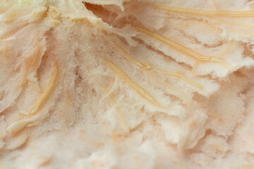 Macro photo of inner pomelo peel, rind. Copy space fruit background, health diet eating