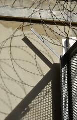 Fototapeta premium Barbwire and fence shadowplay on a wall