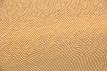 Sand desert ripple surface