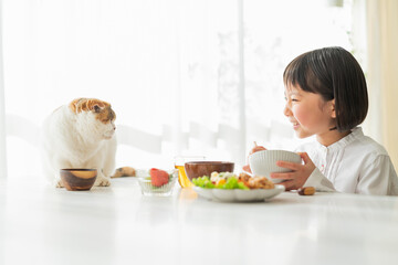 Obraz na płótnie Canvas 朝ごはんを食べる女の子と猫