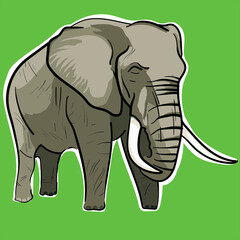 elefante