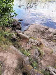 Rocky coast of sea