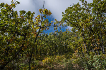 Sierra Norte de Guadalajara Natural Park, Cantalojas, Guadalajara, Spain