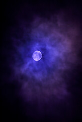 Naklejka na ściany i meble Luna llena, en una noche fría de Enero.