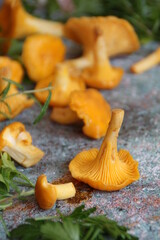 small mushrooms chanterelles, fresh chanterelles, yellow mushrooms