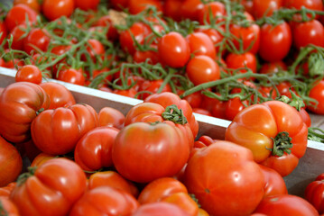 Tomato is a vegetable that is widely used in the Mediterranean region. Sauce for spaghetti, pizza, good as well as fruit juice