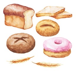 Watercolor bread and buns on white background. Watercolour food illustration.