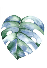 Hand painted watercolor Monstera leaf