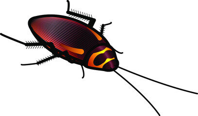 A cockroach.