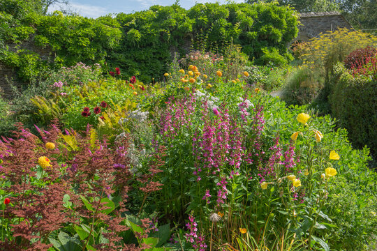 Seasonal flowers adding foreground colours to the borders