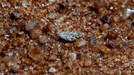 Indian Ocean artifacts in macro style