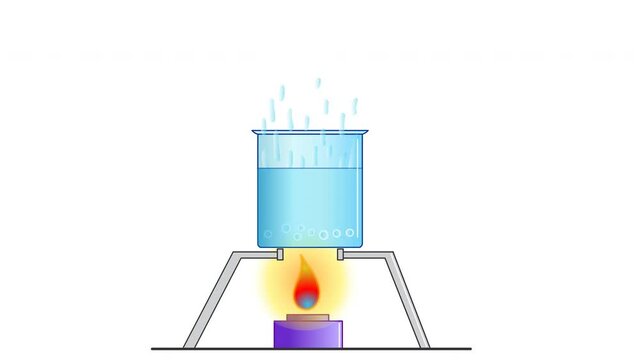 Fluid, water boiling with flame in the stove, bubbling and evaporating in the glass container. Boiling point of water in beaker. Cooker fire. Loop, cycle animation.  Educational video