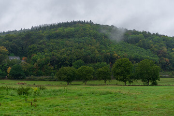 Landscape view near the monastery Maria Lach in germany