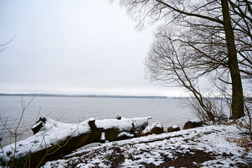 Landscape with winter lake and trees