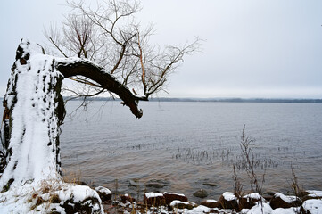 Landscape with winter lake and trees