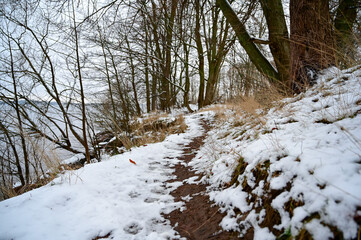 Winter forest path along the lake