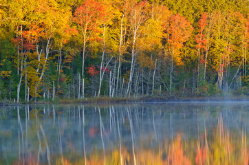 575-89 Sunrise Shoreline Forest