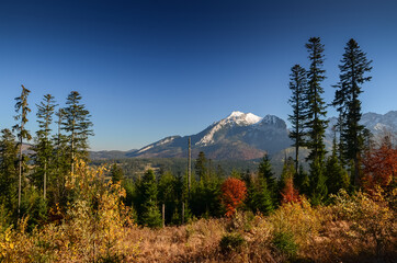 Tatry Mountain. Beautiful view in Polana near Zakopane in Poland © Dominik Kopycinski