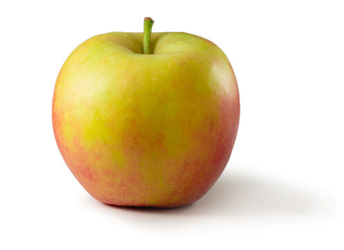 Apfel Elstar Freisteller