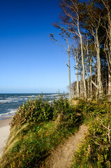 View on Baltic Sea, blue sky, trees and beach. Poddabie, Poland