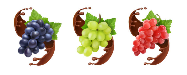 Red black and white table grapes, wine grapes in chocolate. Dessert fruits vector icon set.