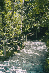 path that goes down made with gray stones