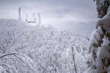Winter landscape with no people and with trees covered by snow in the foreground and a cold snowy...