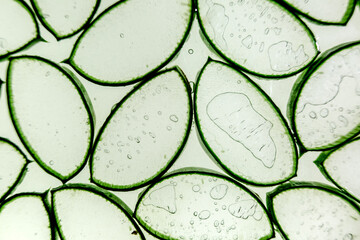 Aloe vera slice texture background. Medicinal plant. Used to treat and to make a cream. Flat lay. Top view.