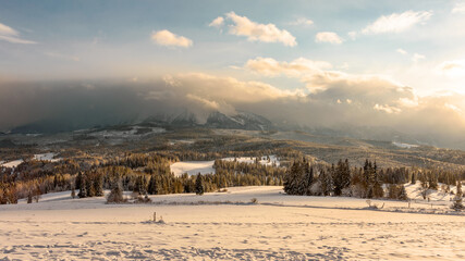 winter landscape in the mountains