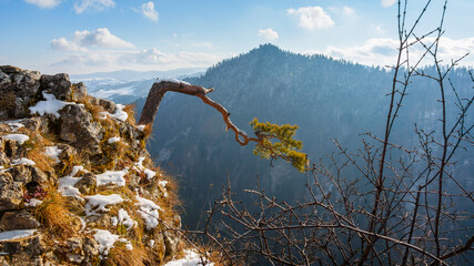 Sokolica © Marcin