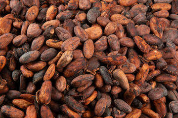 Texture of aromatic raw cocoa beans stacked top view