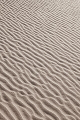 Fototapeta na wymiar Close up view of sand dunes surface pattern at Sands Dunes National Park