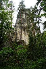 Fototapeta premium Rock formation in Adrspach Skaly, Czech Republic, July 2020