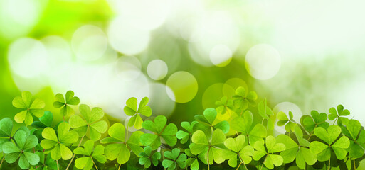 Fresh clover leaves on green background, banner design. St. Patrick's Day celebration