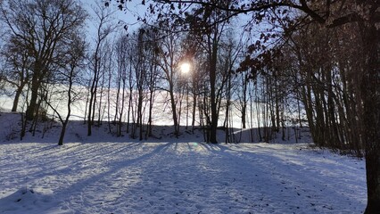 sun in winter