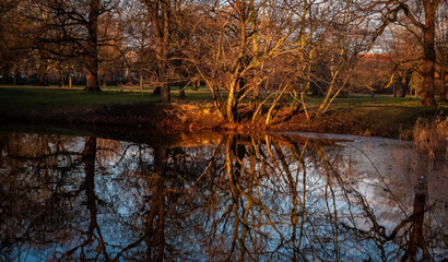 Winter, bare trees make reflection on quiet river
