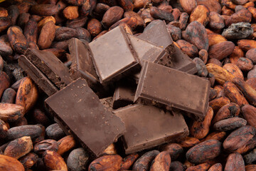 Pieces of chocolate on raw cocoa beans
